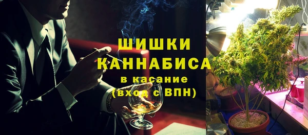 ПСИЛОЦИБИНОВЫЕ ГРИБЫ Балабаново