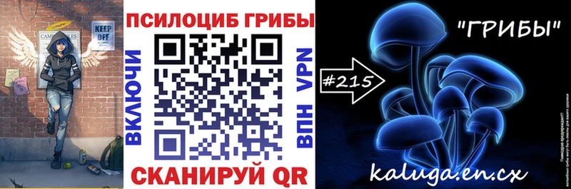 Галлюциногенные грибы ЛСД  продажа наркотиков  Дигора 