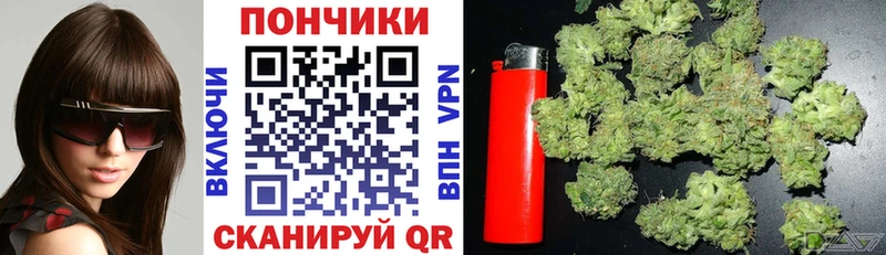 Шишки марихуана Bruce Banner Дигора